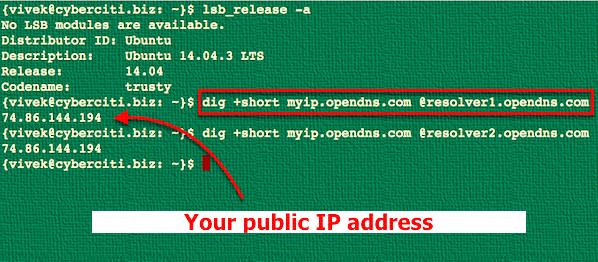 Fig.01: Use dig command to find your IP address