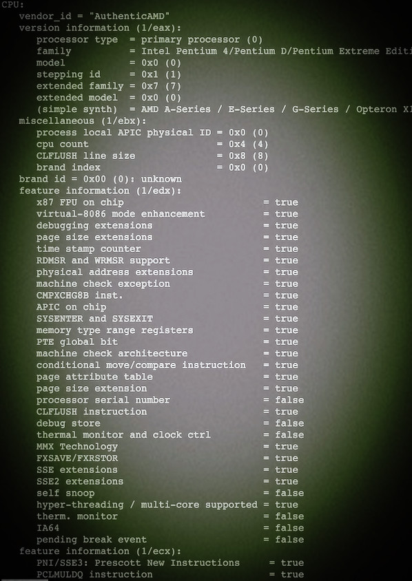 Fig.02: Linux cpuid Command To Dump CPUID information