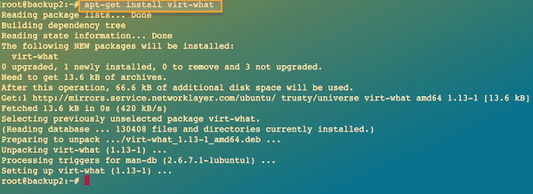Fig.01: Debian/Ubuntu Linux install virt-what command