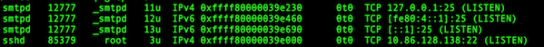 Fig.01: Check the listening ports and applications with lsof command