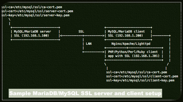 Ssl Setup Apache Windows Forbidden Ssl Setup Apache Windows Forbidden
