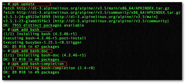 How to install bash shell in Alpine Linux - nixCraft