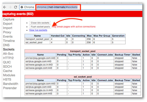 Fig.02: How to Clear Chrome Browser Socket Pools