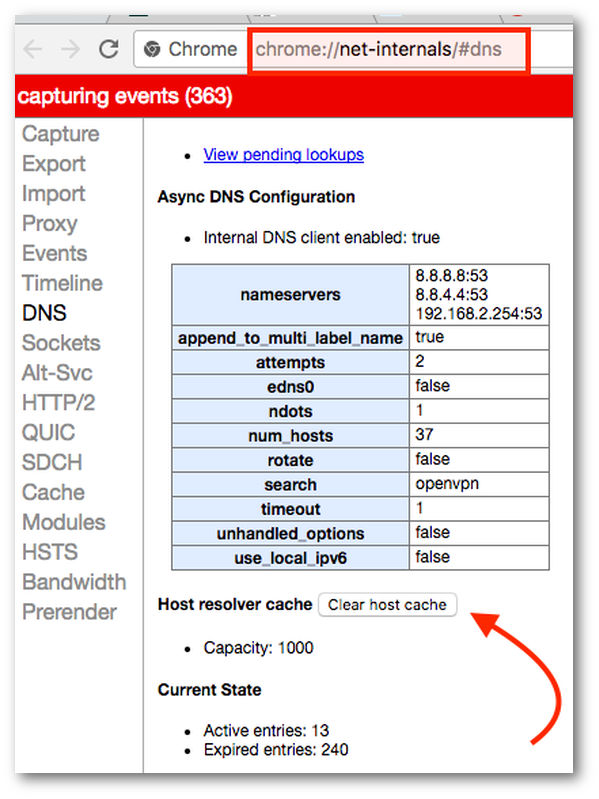 Fig.01: How to Clear Chrome Browser DNS Host Cache 